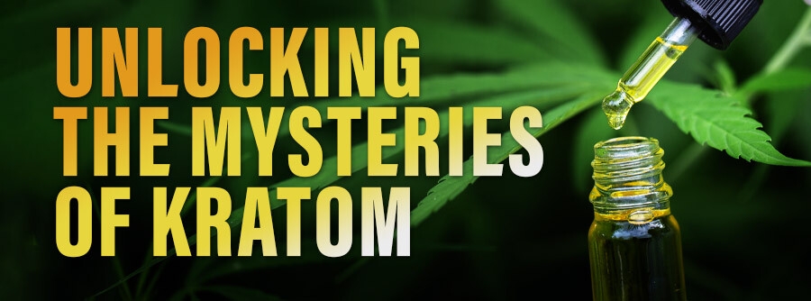 Unlocking the Mysteries of Kratom: A Beginner's Guide to Its Benefits and Uses
